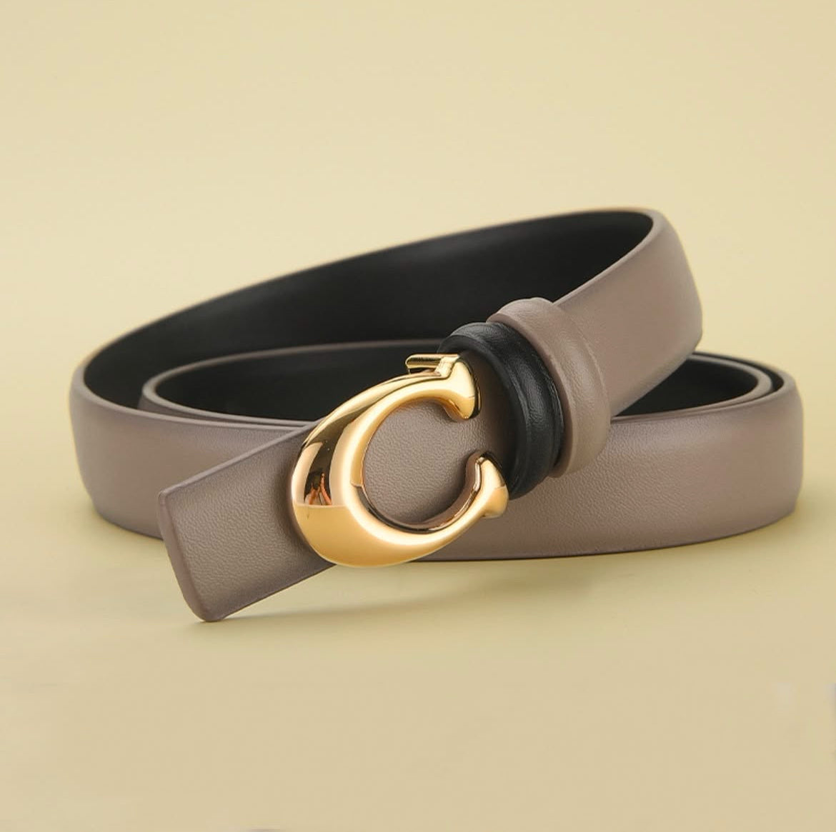 C- Reversible belt